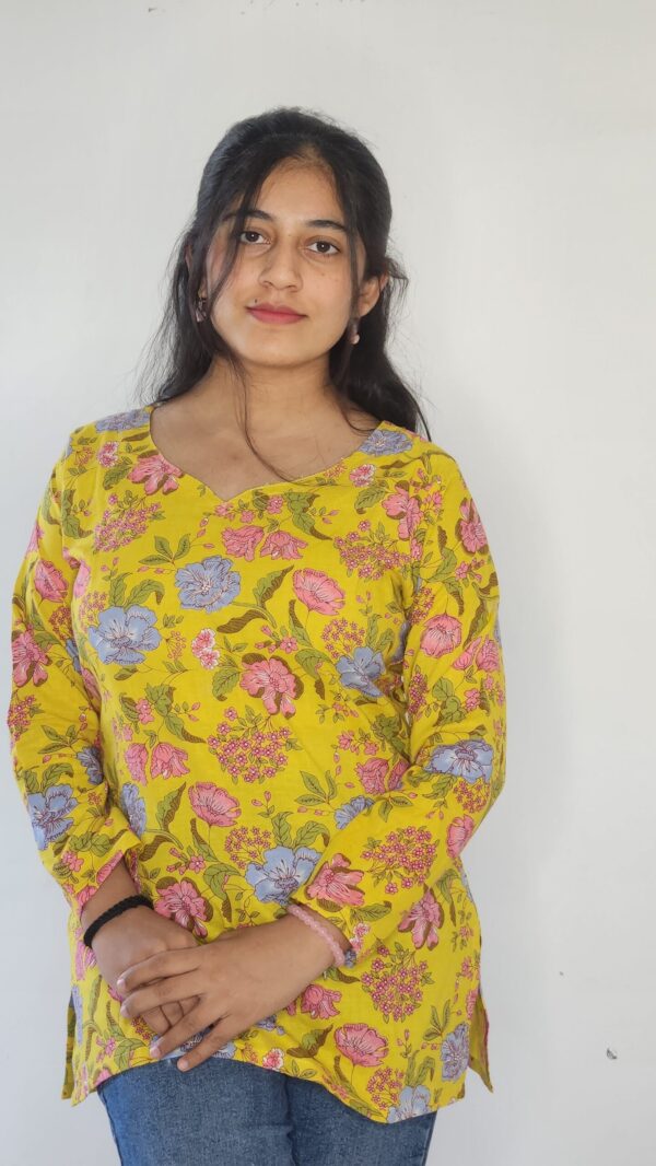 Pitambara - round v neck cotton kurti